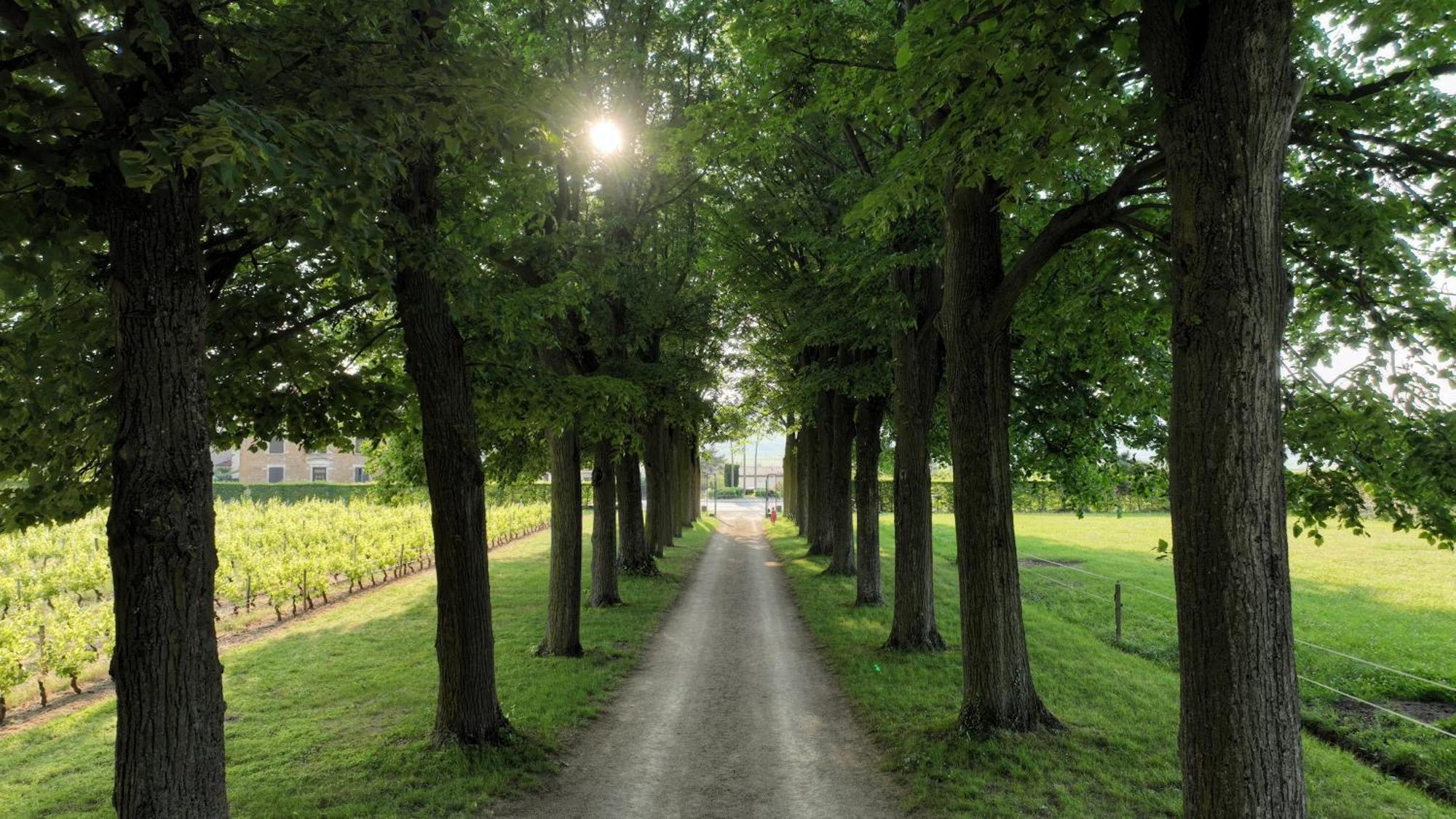 Domaine De Montclair Bed & Breakfast Pommiers  ภายนอก รูปภาพ
